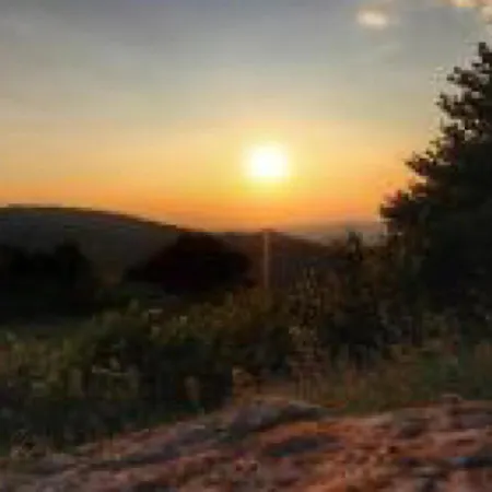 Appartamento Residenza Primavera Maggiore *