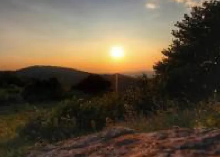 Апартаменты Residenza Primavera Maggiore *